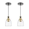 VEVOR 1-Light Pendant Light, 2 Pack, Kitchen Island Lights with Clear Glass Shade & Hanging Cord, Black and Gold Finish, Adjustable Height