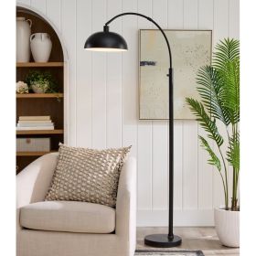 Black Finish Arch Dome Floor Lamp