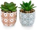 Artificial Plants Succulent Flowers in Ceramic Planter 2 Pack Small Fake Plants Potted for Home Office Desk Decor Farmhouse Living Room Bedroom Shelve