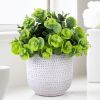 Artificial Plants in Ceramic Planter Cute Lysimachia Fake Succulent Flowers Potted for Home Office Table Desk Decor Living Room Bathroom Bedroom Shelv