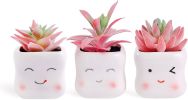 Cute Artificial Faux Succulents in Pots