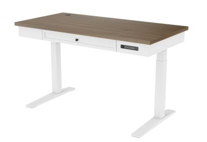 Electric Standing Desk,One-Piece Standing Desk,Seamless Desktop Electric Height Adjustable for Home Office, Study Rooms & Multi-Device Workstations