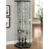 Tenley Black and Chrome Glass 4-shelf Curio Cabinet