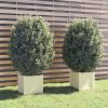 Planter Set of 2 White Solid pinewood Large Durable Planter