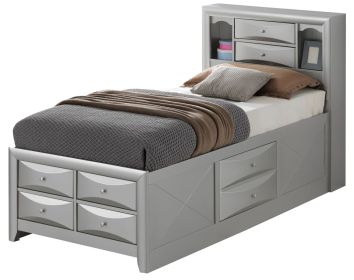 Stylish Twin Storage Bed In Silver Champagne