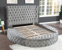 Hazel Queen 5 Pc Tufted Upholstery Bedroom Set Made with Wood In Gray