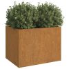 Planter Rusty Corten steel Medium Decorative Inlays Planter