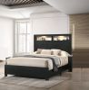 1pc Queen Size Panel Bed Headboard with LED Sleek Sloping Design Extra Storage Space Black Finish Wooden Furniture
