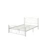 Queen Size Unique Flower Sturdy System Metal Bed Frame with Headboard and Footboard