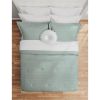 Mint 10 Piece Bed in a Bag Comforter Set with Sheets, Queen