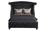 Sophia Queen 5 Pc Upholstery Bedroom Set Made With Wood in Black