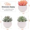 Artificial Faux Succulents in Pots Fake Plants Ceramic Arrangement Planter for Women Desk Small Mini Tiny Decoration for Home Office Desk Window