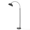Black Finish Arch Dome Floor Lamp