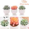 Artificial Faux Succulents in Pots Fake Plants Ceramic Arrangement Planter for Women Desk Small Mini Tiny Decoration for Home Office Desk Window