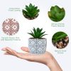 Artificial Plants Succulent Flowers in Ceramic Planter 2 Pack Small Fake Plants Potted for Home Office Desk Decor Farmhouse Living Room Bedroom Shelve