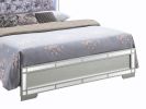 Glamorous Silver Champagne Queen Bed