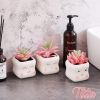 Cute Artificial Faux Succulents in Pots