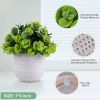 Artificial Plants in Ceramic Planter Cute Lysimachia Fake Succulent Flowers Potted for Home Office Table Desk Decor Living Room Bathroom Bedroom Shelv
