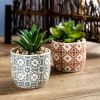 Artificial Plants Succulent Flowers in Ceramic Planter 2 Pack Small Fake Plants Potted for Home Office Desk Decor Farmhouse Living Room Bedroom Shelve