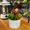 Artificial Plants Cute Colourful Succulents in Ceramic Planter Fake Plant Flowers Potted for Home Living Room Office Desk Decor Bathroom Bedroom Indoo