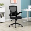 Ergonomic Mesh Office Chair with Breathable Back, Adjustable Height, Padded Seat & Armrests, 250 lbs Capacity