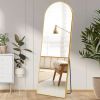 Floor Standing Mirror, Wall Mirror with Stand Aluminum Alloy Thin Frame,21''*64''