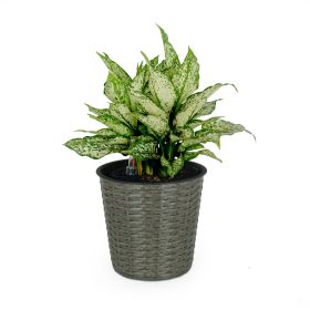 10.2" Self-watering Wicker Decor Planter for Indoor and Outdoor - Round - Grey (Color: as Pic)