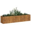 Planter Rusty Weathering Steel Large Durable Planter