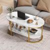 Oval Coffee Table 2-Tier Wooden Accent Table with Spacious Tabletop and Open Storage Shelf