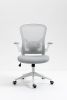 Ergonomic Mesh Office Chair with Breathable Back, Adjustable Height, Padded Seat & Armrests, 250 lbs Capacity