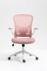 Ergonomic Mesh Office Chair with Breathable Back, Adjustable Height, Padded Seat & Armrests, 250 lbs Capacity