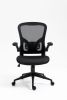 Ergonomic Mesh Office Chair with Breathable Back, Adjustable Height, Padded Seat & Armrests, 250 lbs Capacity
