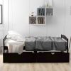 Simple Twin Size Platform Bed with two Drawers