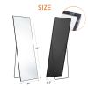 Floor Standing Mirror, Wall Mirror with Stand Aluminum Alloy Thin Frame,21''*64''
