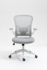 Ergonomic Mesh Office Chair with Breathable Back, Adjustable Height, Padded Seat & Armrests, 250 lbs Capacity