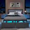 Full/Queen/Twin Size Bed Frame with LED Lights Drawer and Metal Slats