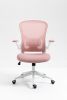 Ergonomic Mesh Office Chair with Breathable Back, Adjustable Height, Padded Seat & Armrests, 250 lbs Capacity