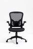 Ergonomic Mesh Office Chair with Breathable Back, Adjustable Height, Padded Seat & Armrests, 250 lbs Capacity