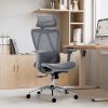Ergonomic High Back Mesh Office Chair with Adjustable Headrest & Lumbar Support, Breathable Mesh Desk Chair with Padded Seat