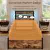 Full/Queen/Twin Size Bed Frame with Drawers LED Lights and USB Ports