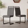 Modern Dining Chairs