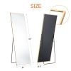 Floor Standing Mirror, Wall Mirror with Stand Aluminum Alloy Thin Frame,21''*64''